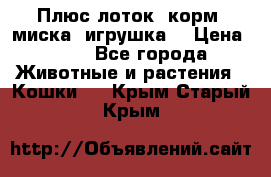 Плюс лоток, корм, миска, игрушка. › Цена ­ 50 - Все города Животные и растения » Кошки   . Крым,Старый Крым